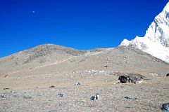03 Trail From Gorak Shep To Kala Pattar.jpg